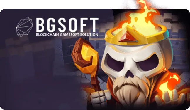 BGSOFT